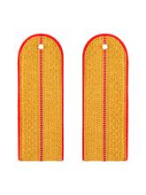 Погоны полиции 1-просветные парадные (золотистый) (картон)