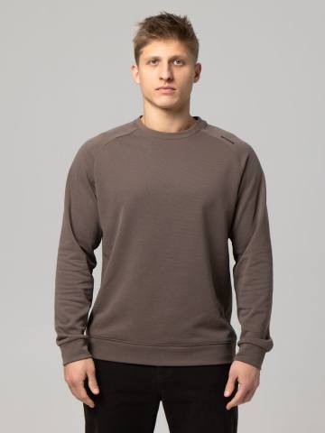 Свитшот мужской STROBBS (коричневый) E2575-9