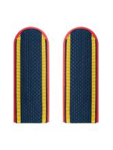 Погоны полиции курсанта (темно-синий) (пластиковые)