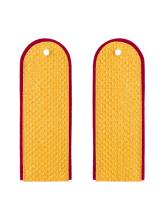 Погоны ФСИН рядовые золотистые (картон)