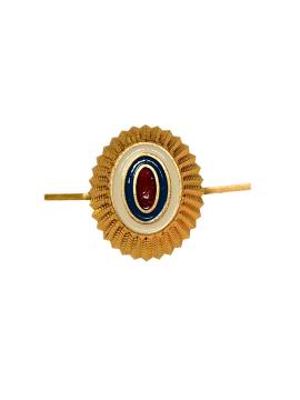 Кокарда милиции, ФСИН без эмблемы