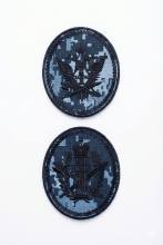 Комплект шевронов вышитый ФСИН сотрудник учреждений ("меркурий")