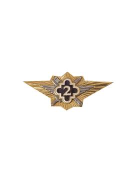 Знак "Классный специалист ФСИН" 2 класс