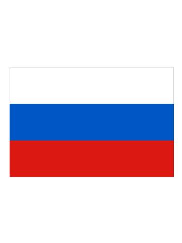 Флаг России (15*22) 