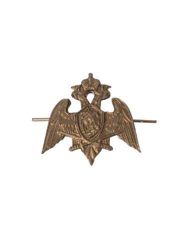 Эмблема защитная Росгвардия