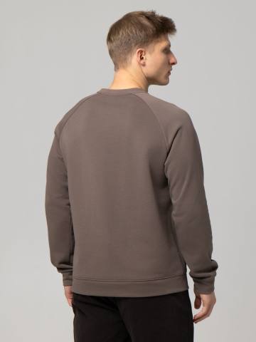 Свитшот мужской STROBBS (коричневый) E2575-9
