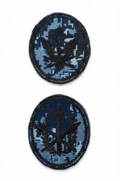 Комплект шевронов вышитый ФСИН территориальные органы ("меркурий")